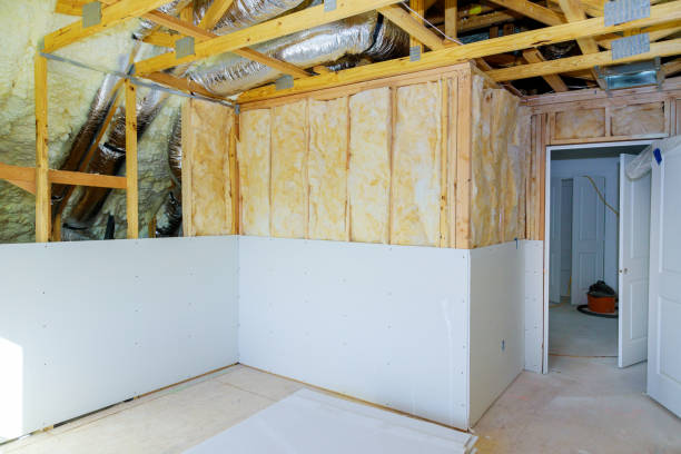 Best Geographic-Specific Insulation Services in St Clair Shores, MI
