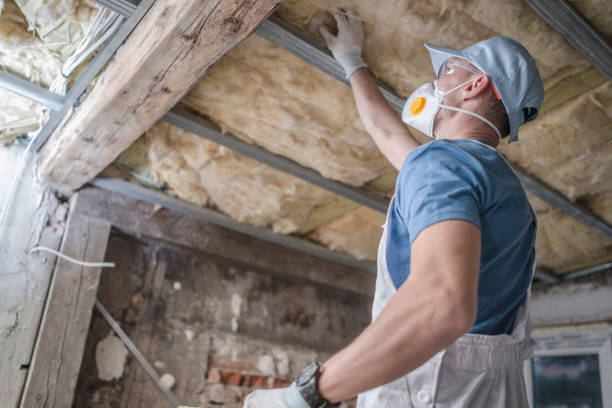 Best DIY Insulation Kits and Guidance in St Clair Shores, MI
