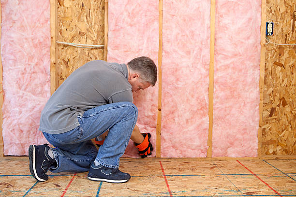 Best Cellulose Insulation in St Clair Shores, MI