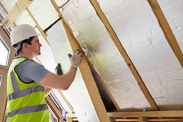 Best Insulation Maintenance and Repair in St Clair Shores, MI